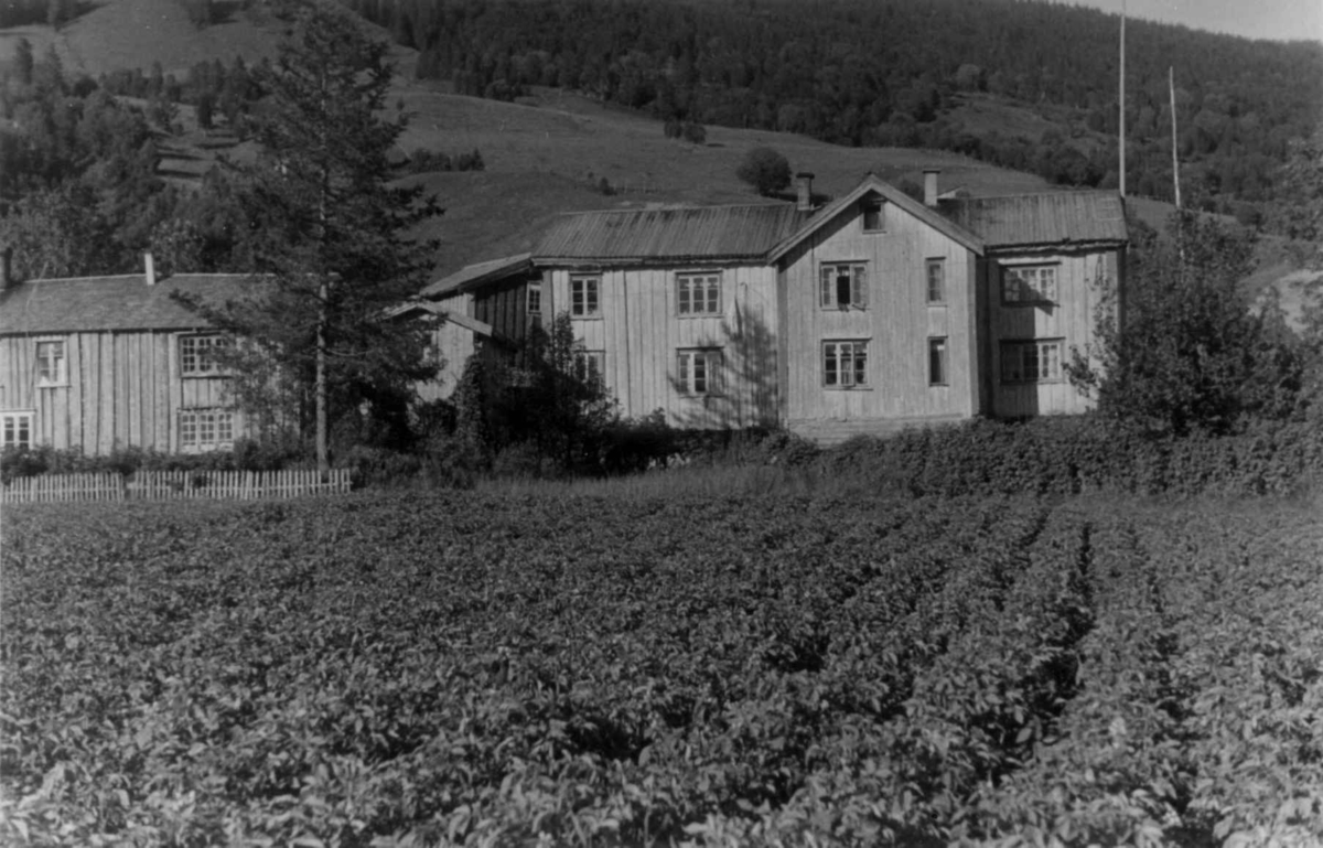 Gård med våningshus og åker ved Øverleir i Leirskardalen i Nordland. Bygningene er revet.