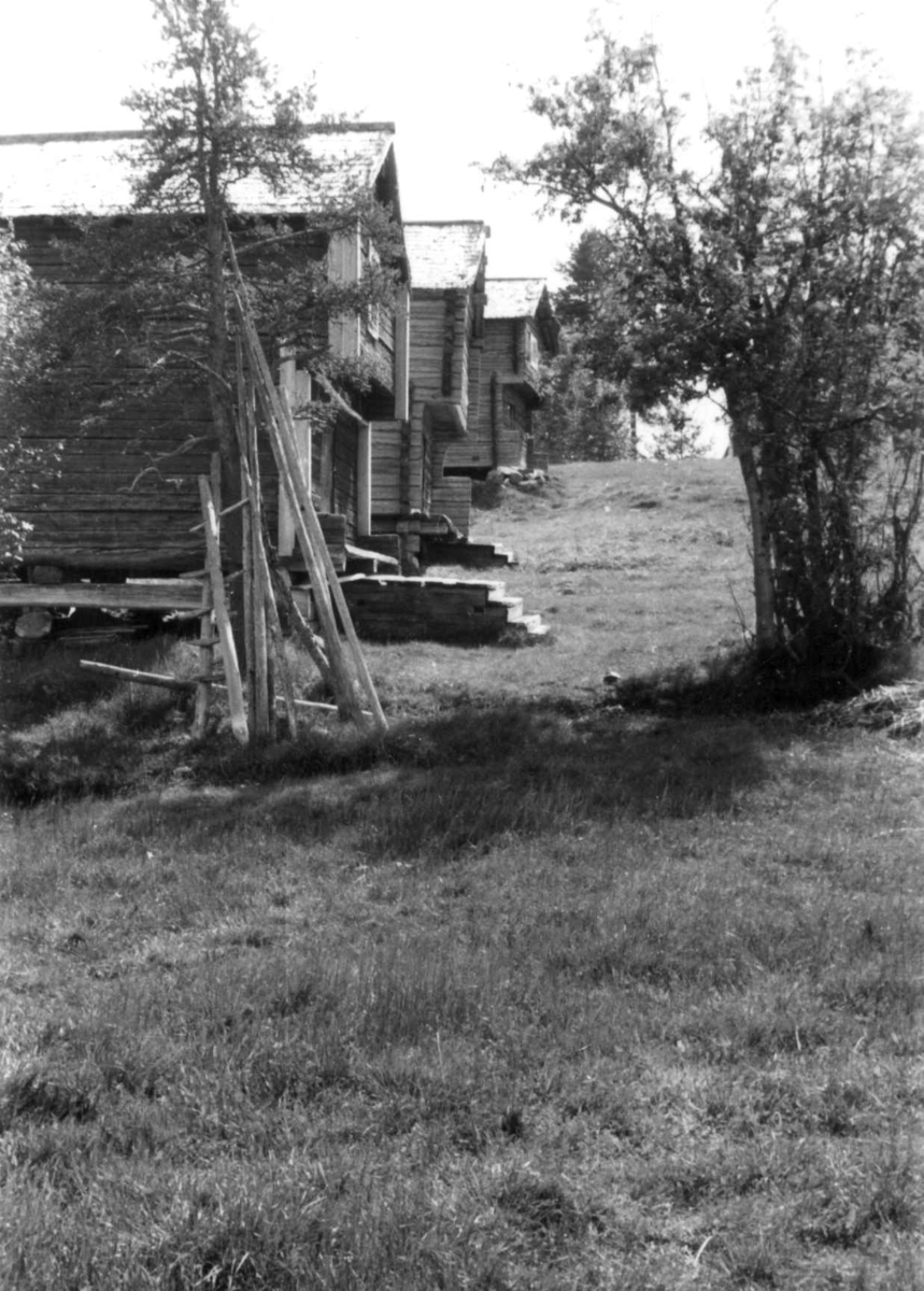 Tre stabbur. Gråträsk ved Arvidsjaur 1958.