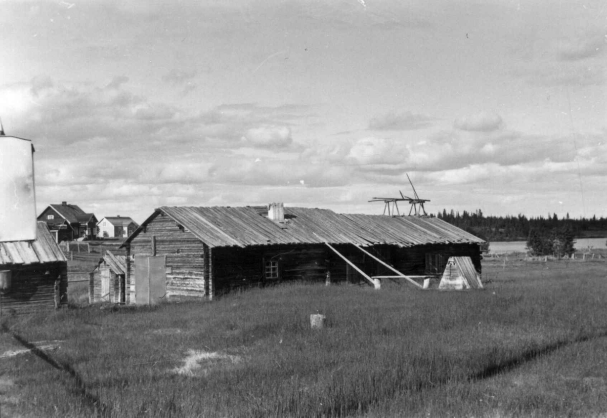 Et fjøs med boliger i bakgrunnen, Vivunki 1958.