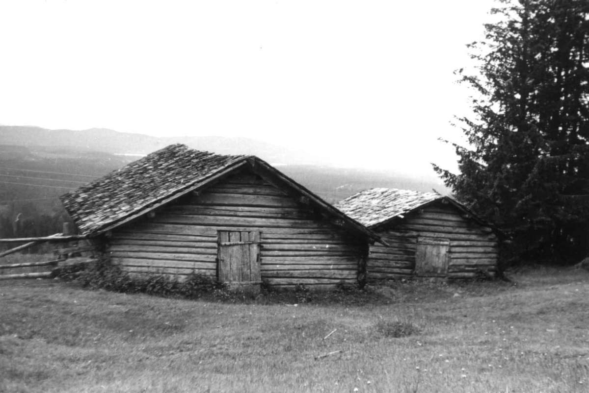 Plassen, Trysil, Hedmark. Sommerfjøs.