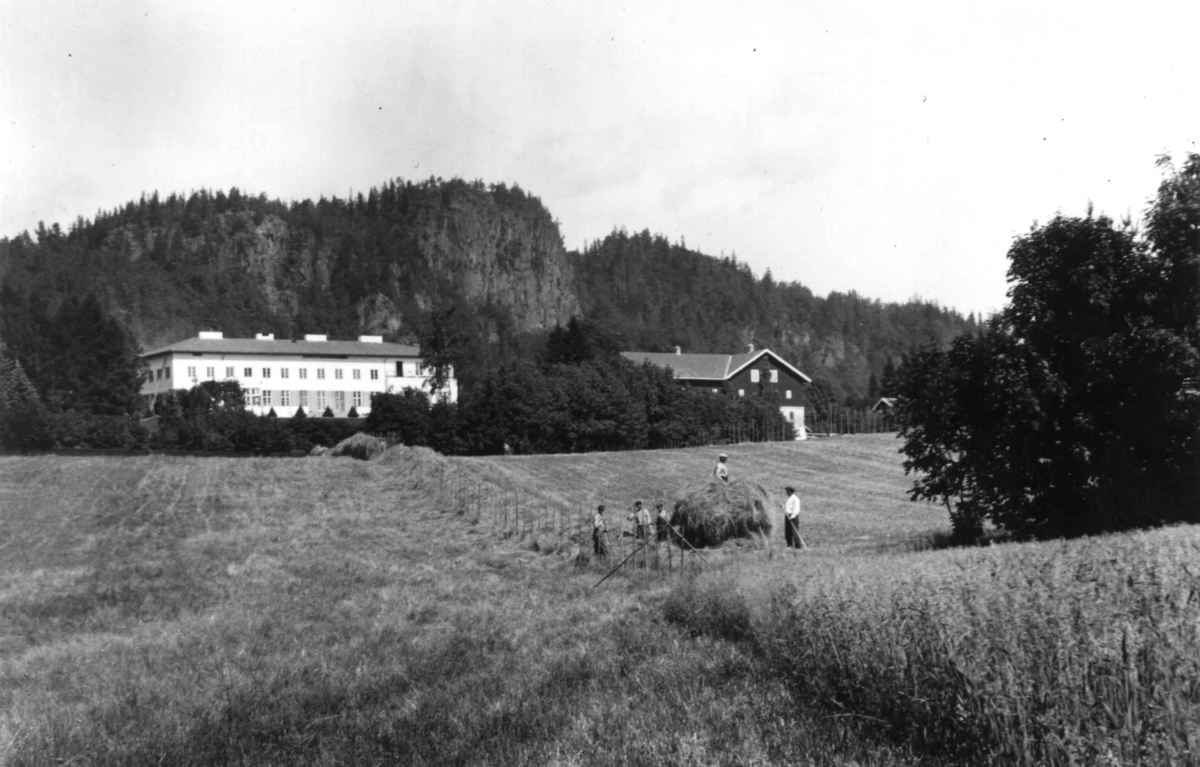 Skaugum, Asker, Akershus. 1932. Hovedhuset sett fra jordet. Høying. Skaugumåsen i bakgrunnen.