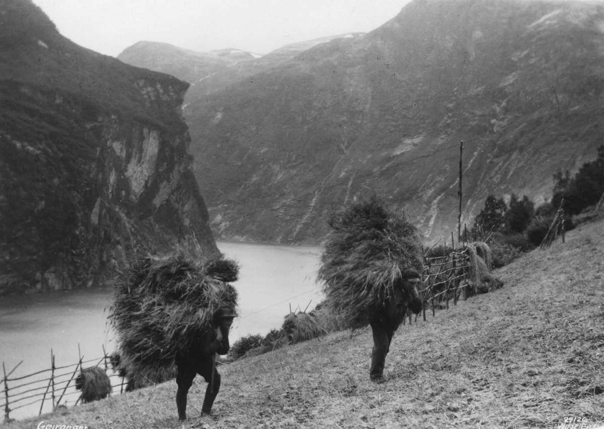 To menn bærer høy på ryggen. Geiranger, Møre og Romsdal 1926.