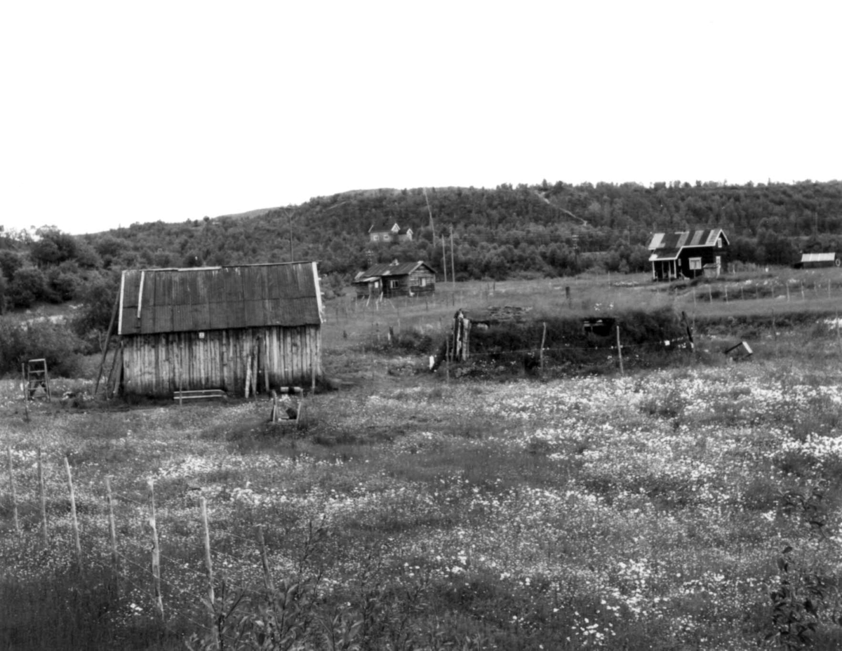 Jogar Mikkelsens gamle fjøsgamme og andre bygg, Skoltebyen 1968.