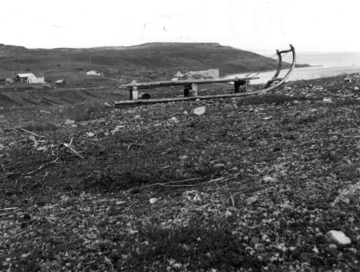 Slede av finsk type hos Elen Maja Sana Samuelsen, Karlebotn 1968.