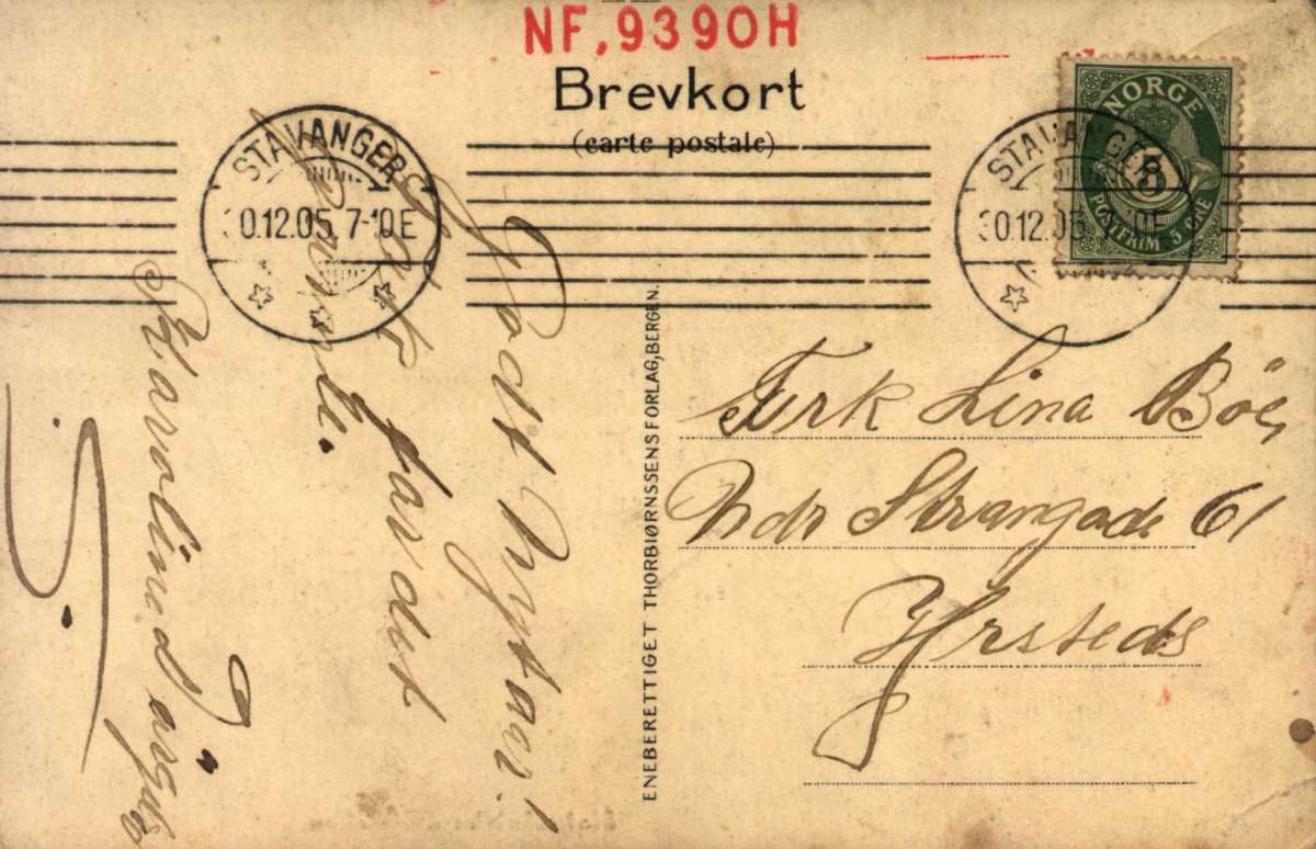 Postkort. Nyttårshilsen. Fotografisk motiv. Portrett av statminister Christian Michelsen (1857-1905). I bakgrunnen det norske flagget. Stemplet 30.12.1905.