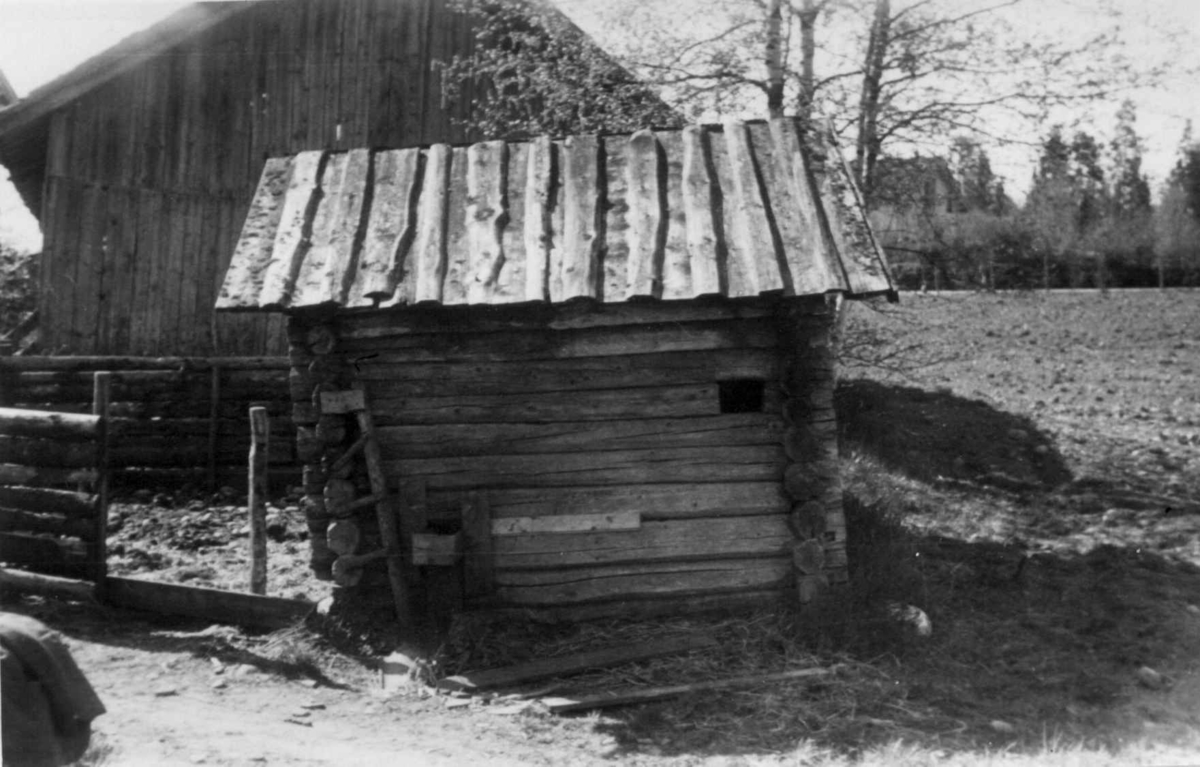 Vilberg, Ullensaker, Akershus 1946. Grisehus under riving. Nå på Norsk Folkemuseum.