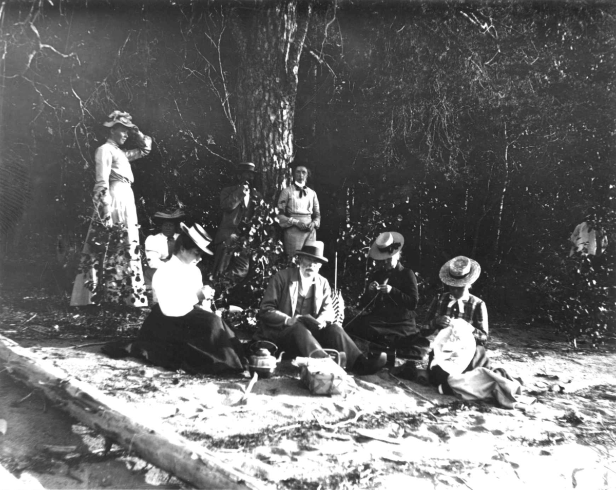 Gruppe menn og kvinner utendørs, Hurdal, Akershus, 1903? Kvinnene broderer og strikker.