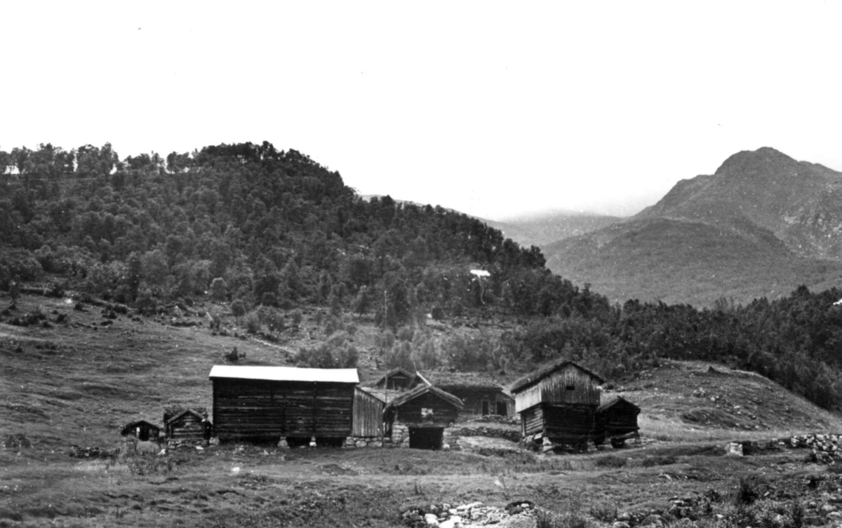 Vinje, Rauland, Telemark 1939. Vå gård der stabburene står.