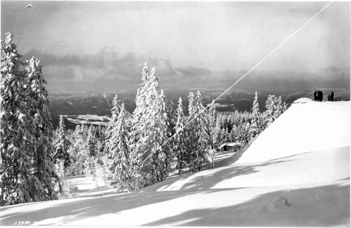 Utsikt fra Tryvannshøgda, Oslo 1936. Vinterbilde med snøtunge trær og nedsnødd hyttetak..