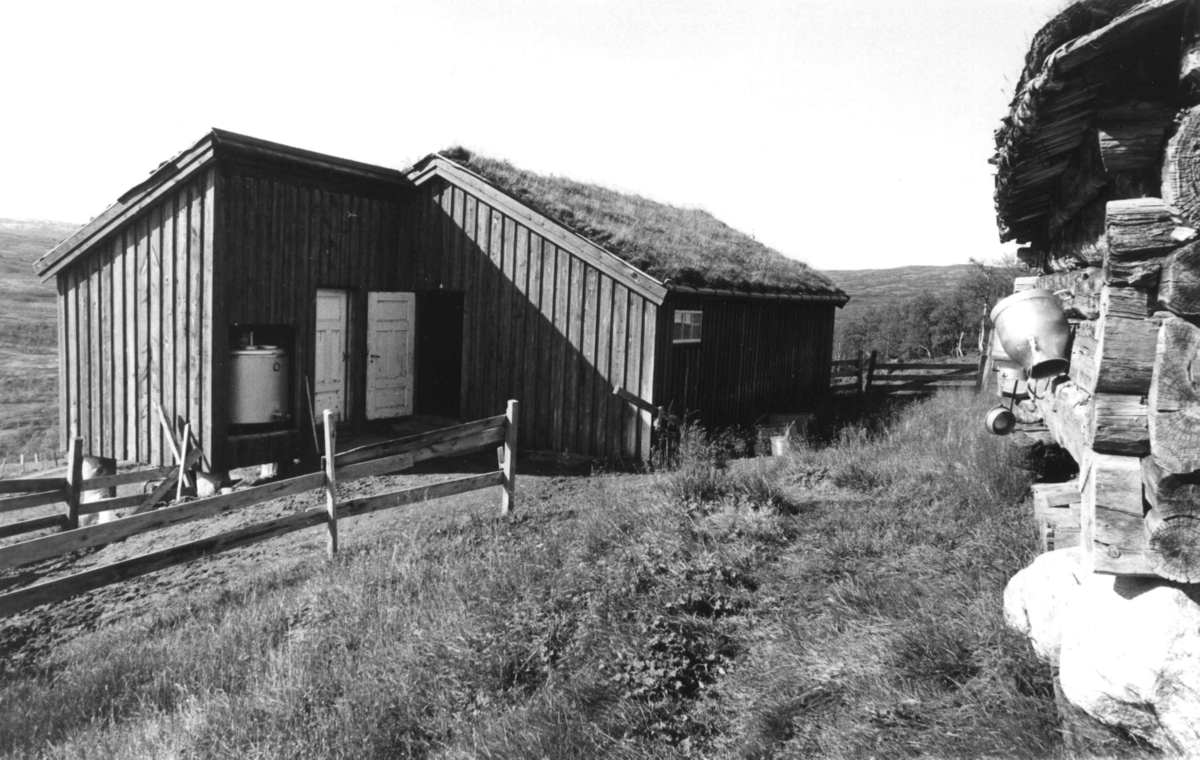 Nyfjøset på Endal seter i Endalen. Fjøset er satt opp omkring 1980 og fikk montert tankanlegg i 1983. På denne setra begynte de å bruke melkemaskin i gammelfjøset omkring 1960.