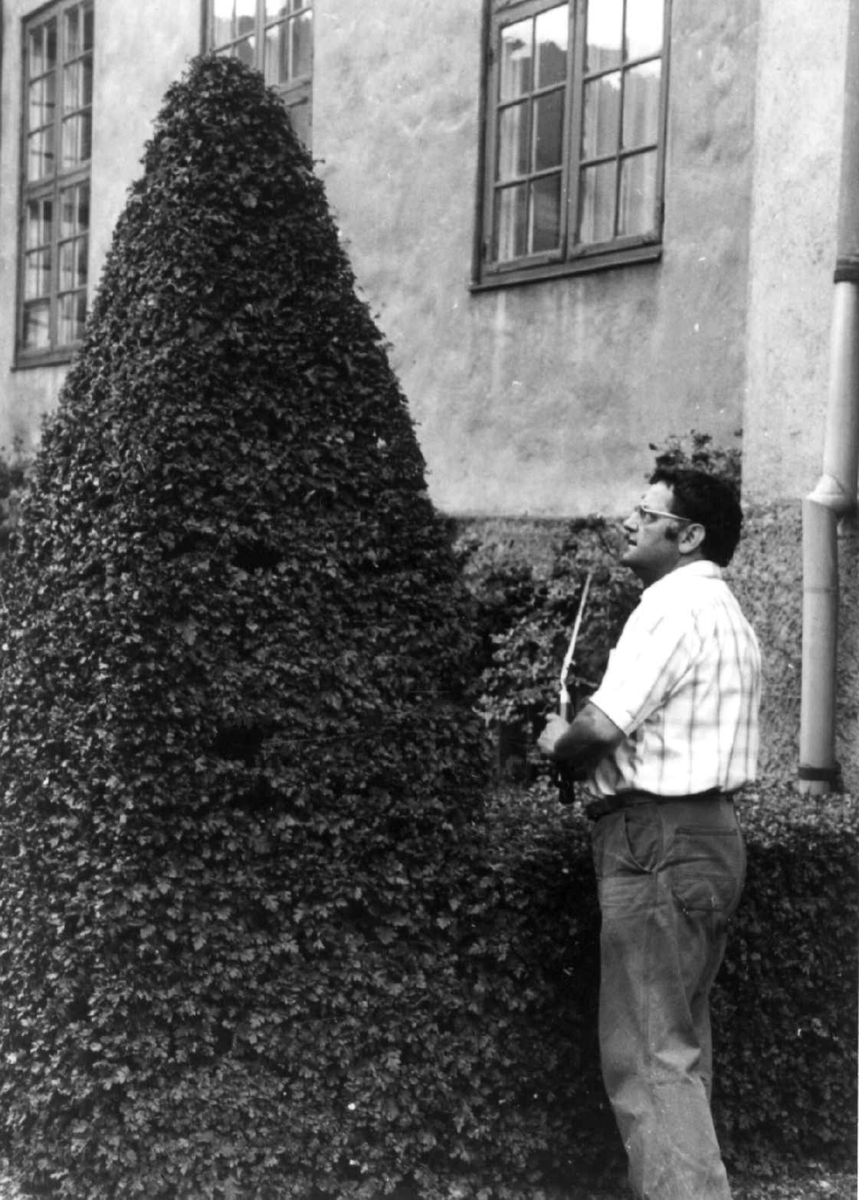 Rolf Henrik Quam, gartner på Norsk Folkemuseum, fotografert i 1974.