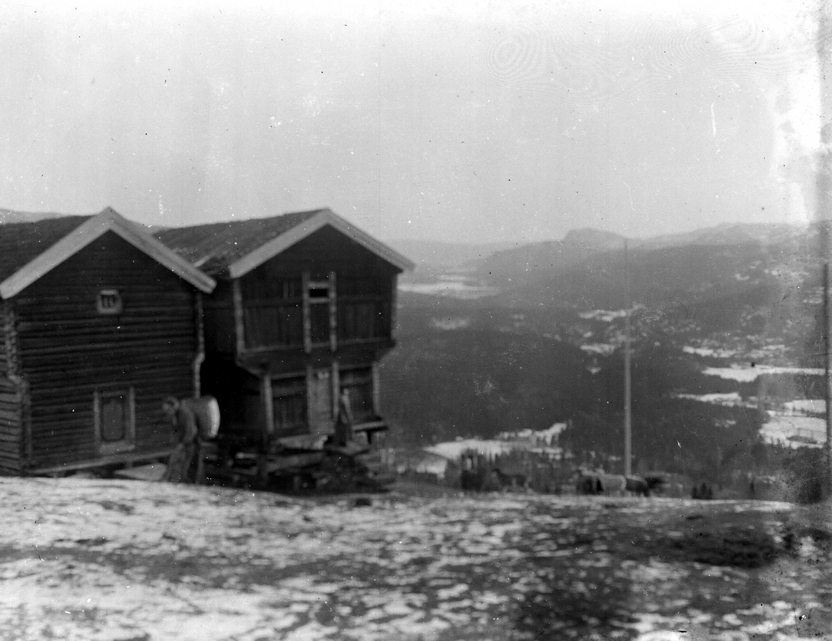 Fra Eggedal, Sigdal, på besøk hos Th. Kittelsen. Høytliggende gårdstun med uthus, loft/stabbur. Kvinne i lokal folkedrakt  bærende på en stor kurv (kont?), ant. med høy, foran uthusene. Samme motiv, skarpere, se NF.15386-100.
Fra malerinne Juliane Fredrikke Langbergs samling, tatt 1895-1910 med motivkrets slekt og venner samt steder tilknyttet samvær med disse.  