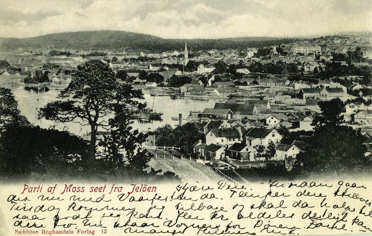 Postkort. Hilsen. Fotografisk motiv. Svart/hvitt. Moss sett fra Jeløya. Bybebyggelse. Fjord. Båter. Stemplet 31.05.1903.