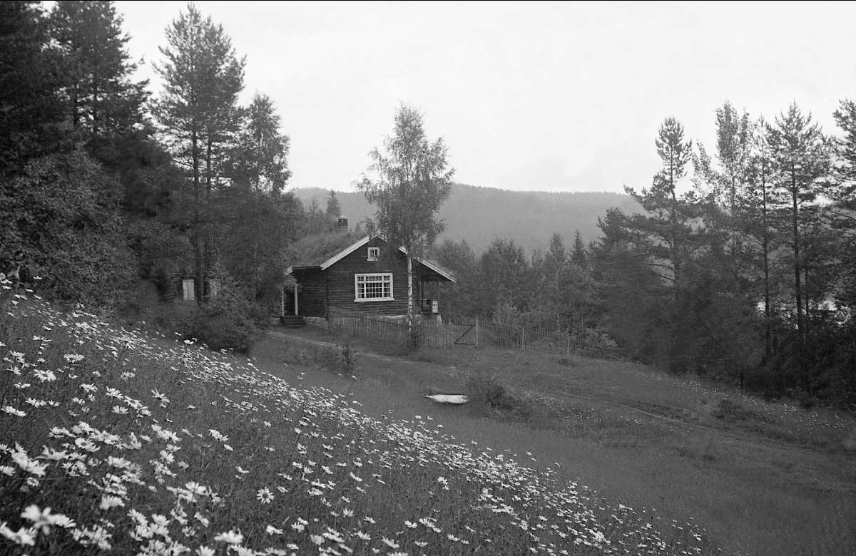 Familien Mørchs hytte ved Lauvnesvannet, Sigdal 1938.