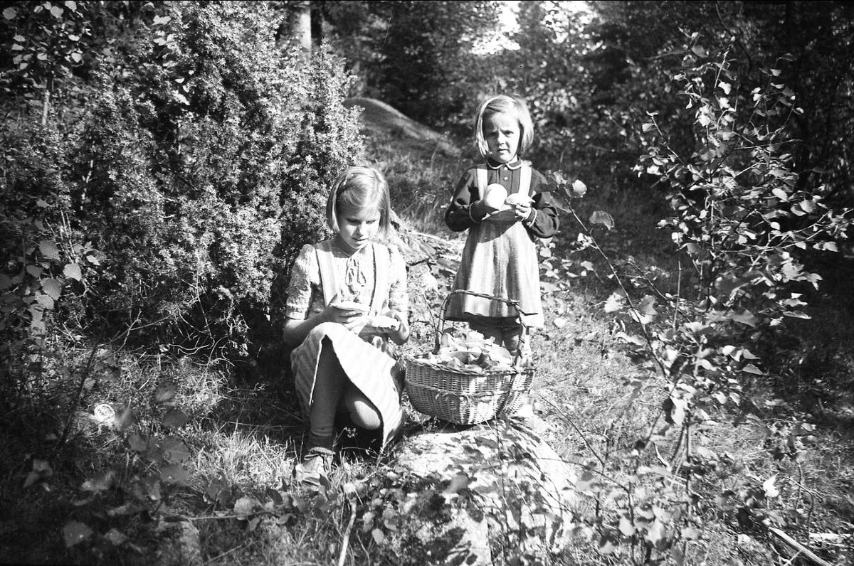 Ligardshaugen 1941. Siri og Kari plukker sopp.