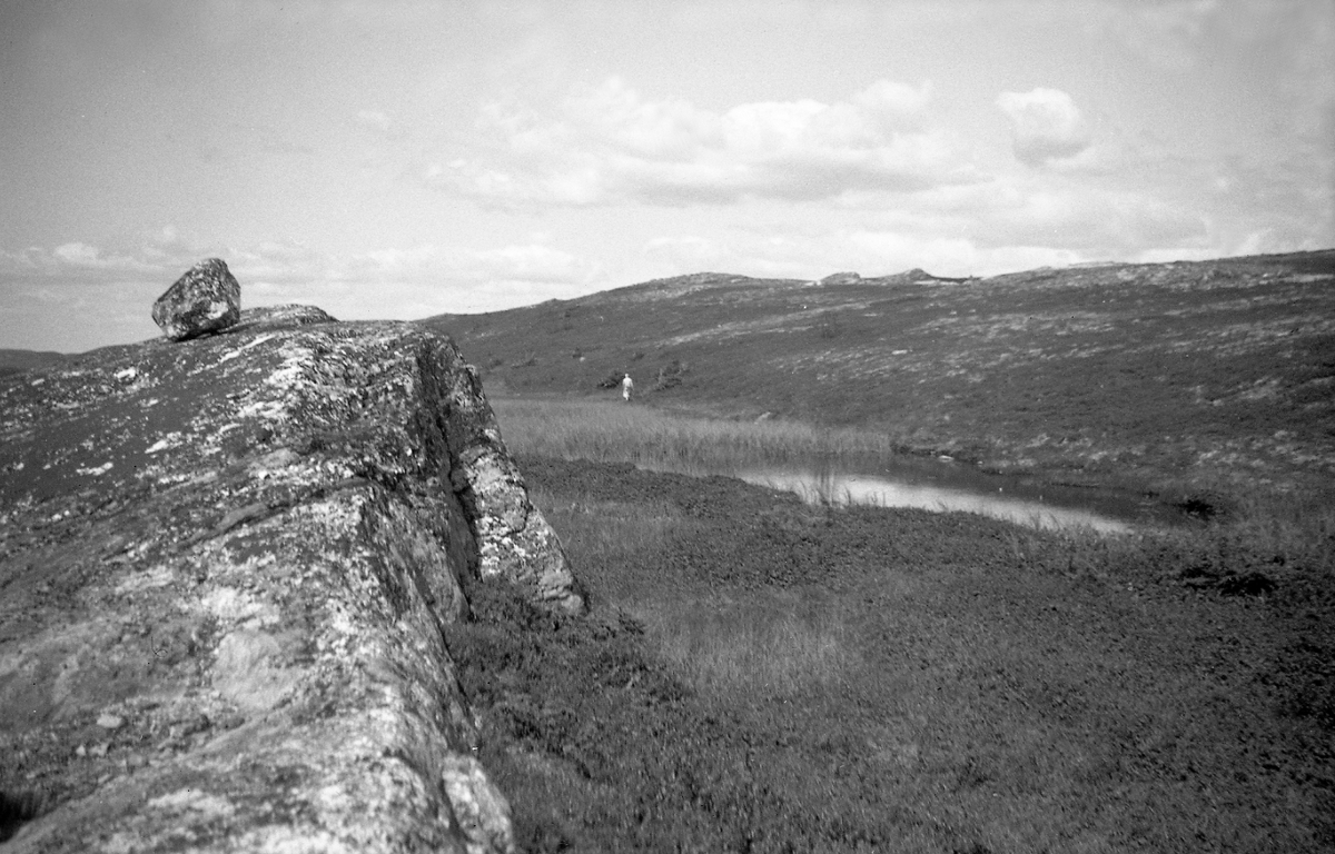 Et myrområde i Langliåsen, Eggedal. Fotografert 1947.