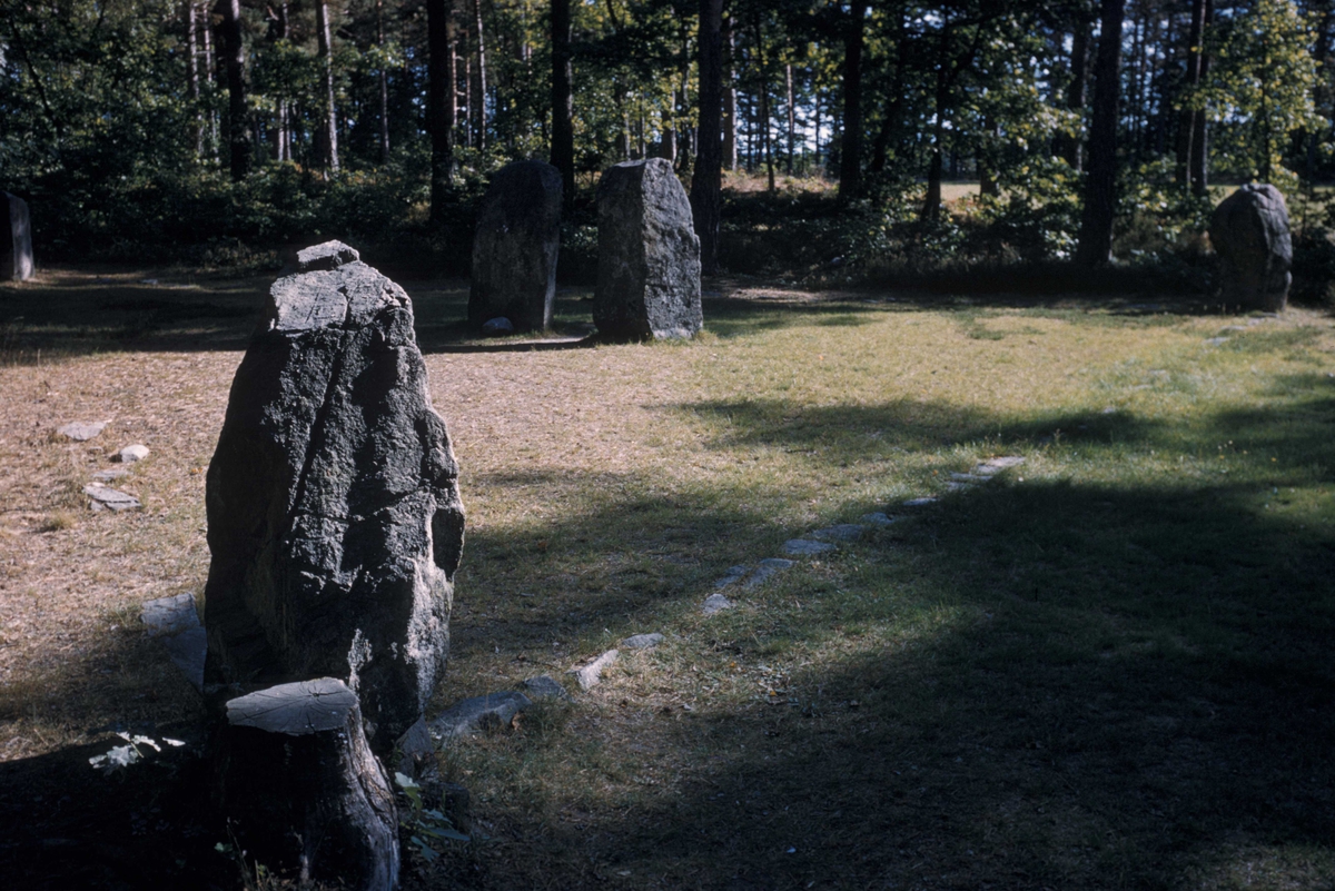 Hagen på Dømmesmoen - Statens Hagebruksskole.