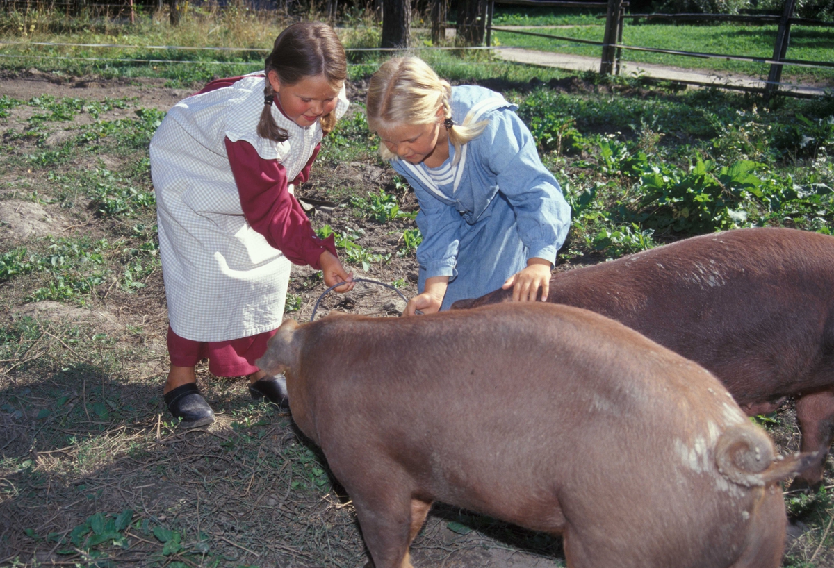 Barn i drakter besøker grisene
i friluftsmuseet i 2002.