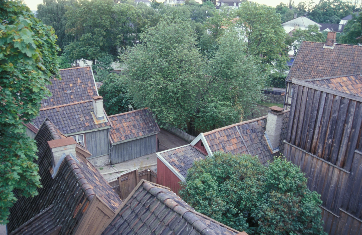 Oversikt over Enerhaugen. Tatt fra toppen av en brannstige august 2002.