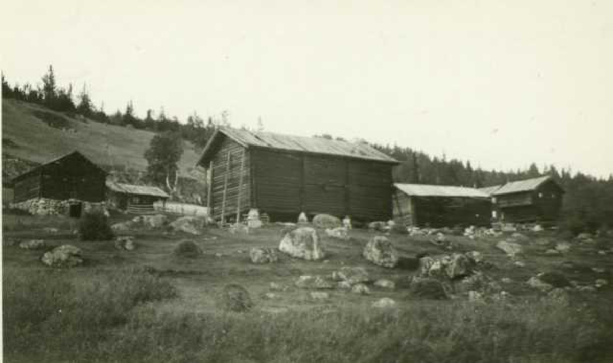 Gårdstun, Grønneflåta, Uvdal, Nore og Uvdal, Buskerud. Fotografert 1926.