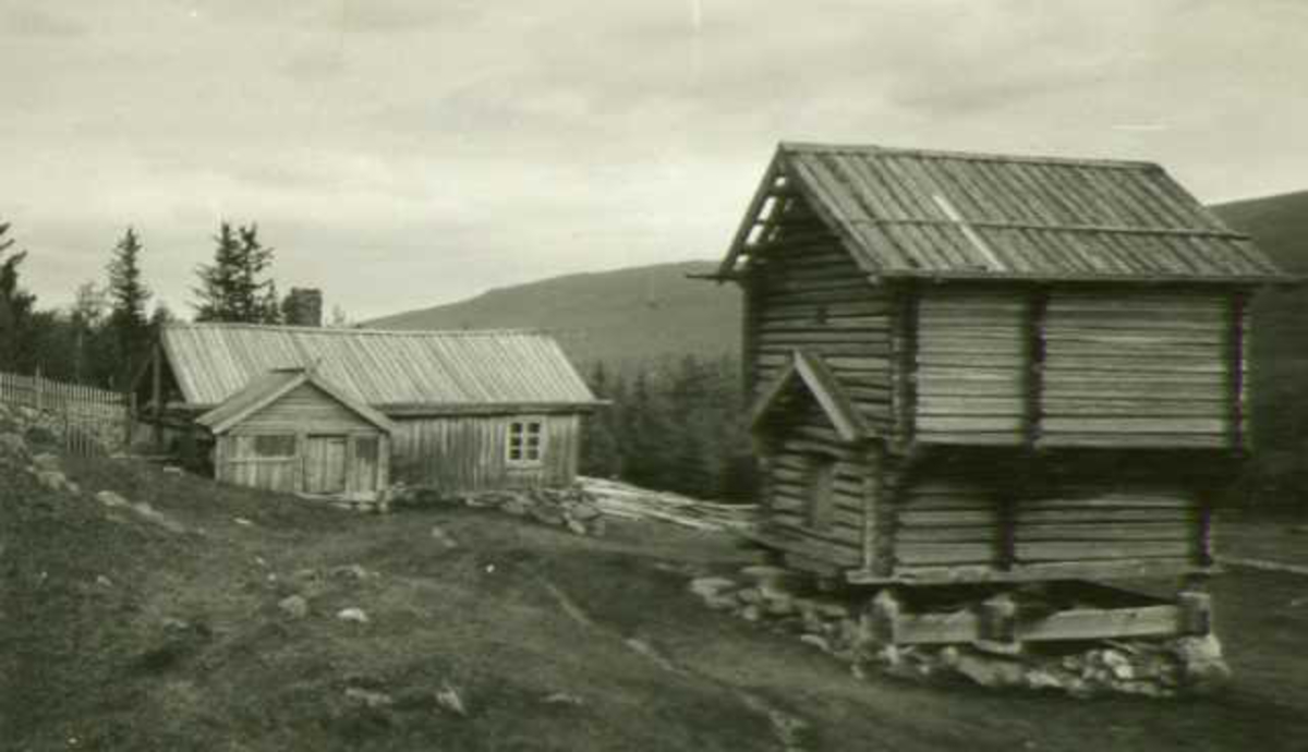 Gårdstun, Røysgard, Uvdal, Nore og Uvdal, Buskerud. Fotografert 1926.