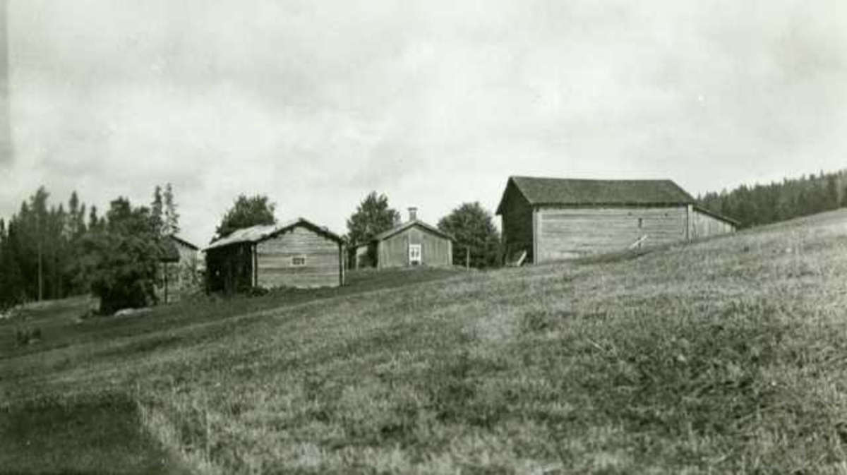 Gammelt finnetorp, Ryen, Grue Finnskog, Grue, Hedmark. Fotografert 1935.