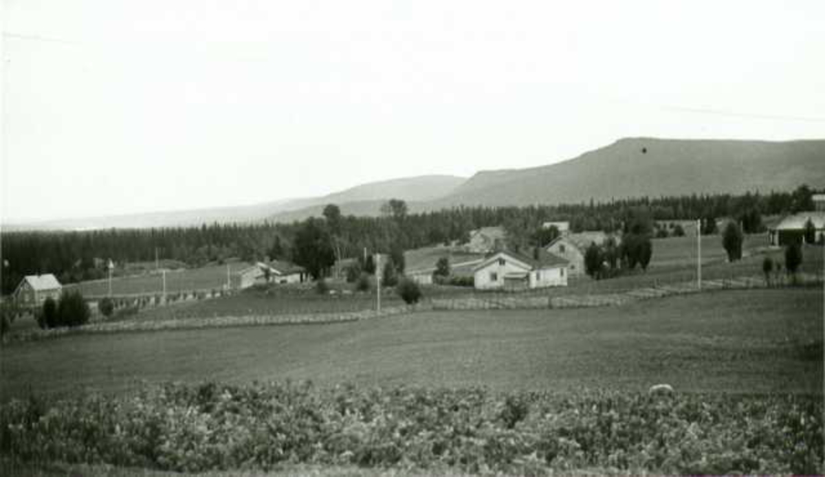 Oversiktsbilde over Almus, Åsbygda, Åmot, Hedmark. 