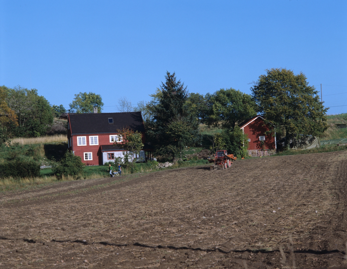 Enebolig og uthus ved dyrket mark, Lia ved Grimstad. Illustrasjonbilde fra Bonytt 1983.