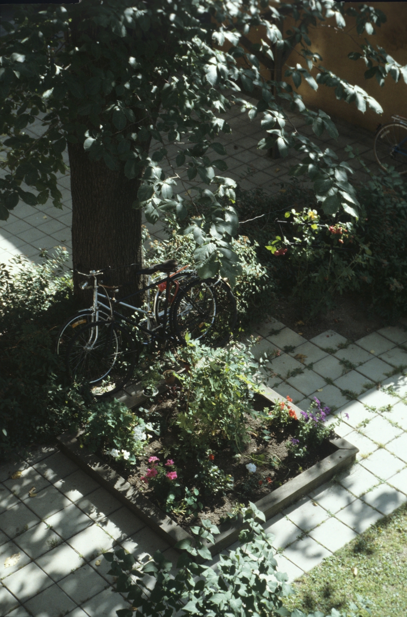 Opparbeidet gårdsrom i Oslo. Illustrasjonsbilde for Bonytt 1983.