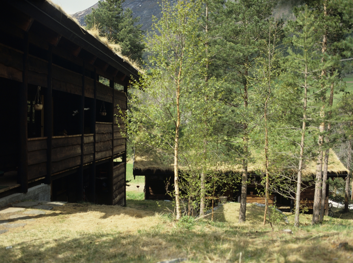 To eneboliger bygget 1982 etter stedlige byggetradisjoner  i Bøverdalen, Lom, Oppland. Arkitekter Karl Heldal og Helge Saatvedt.  Illustrasjonsbilde fra Bonytt 1986.