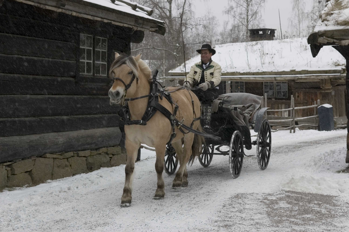 I forbindelse med Kong Haralds 70-års dag var alle gjester på omvisning på NF.
