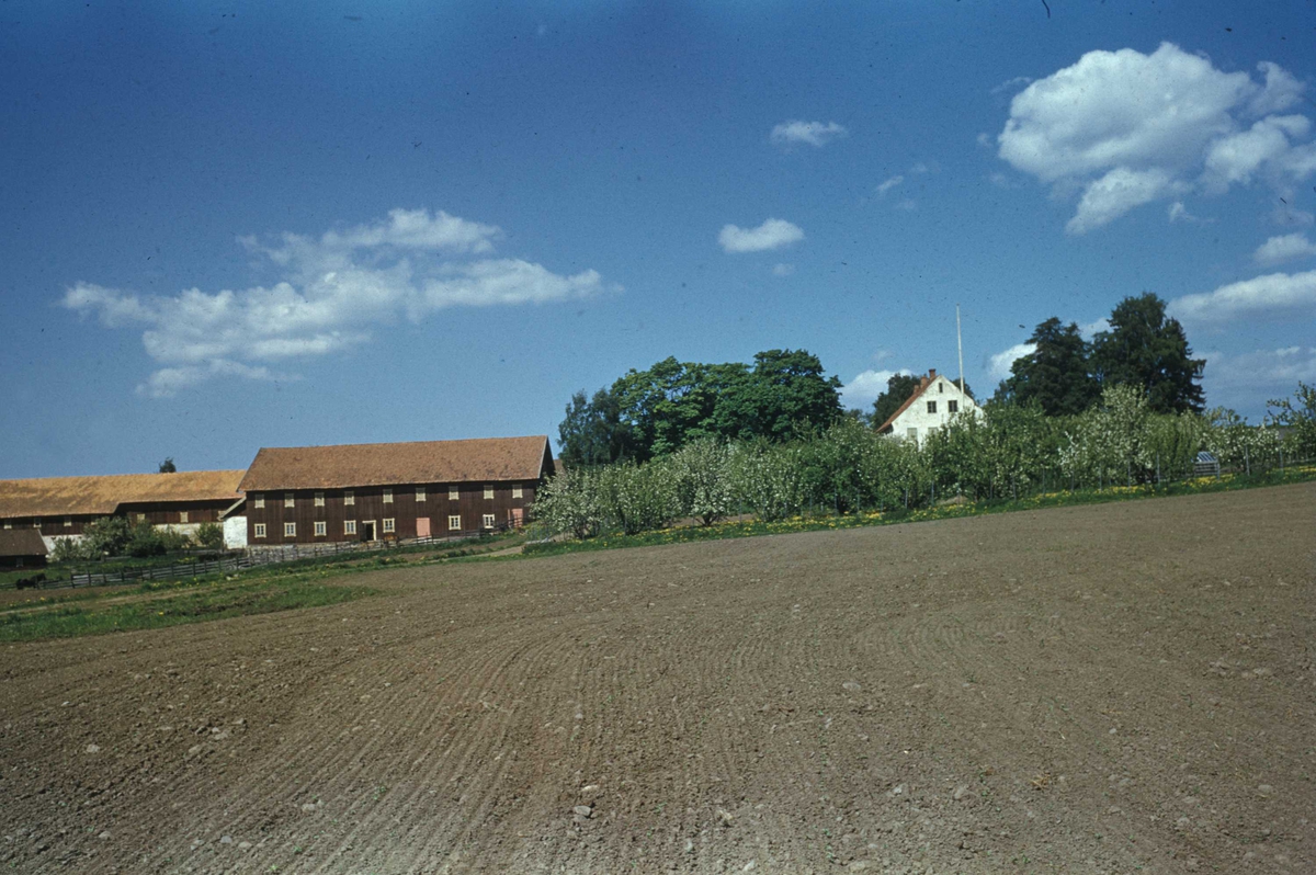 Hverven gård, Stange, Hedmark.