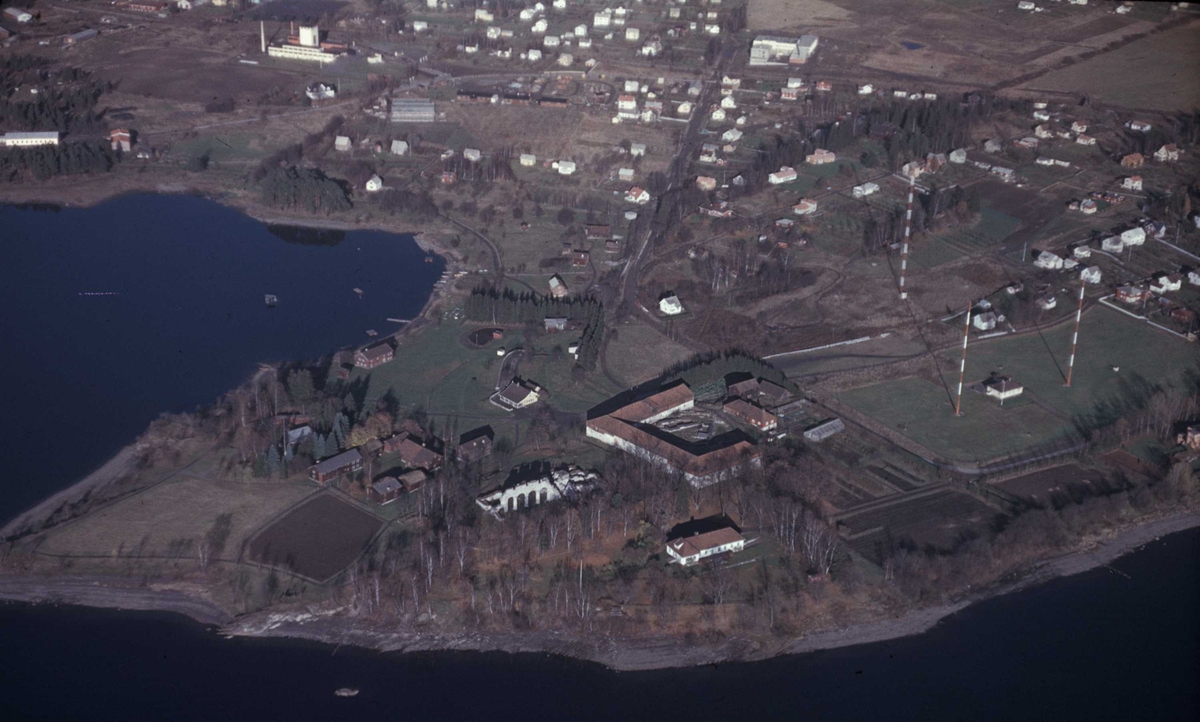 Domkirkeodden, Hamar, Hedmark. Flyfoto av hele Odden. 