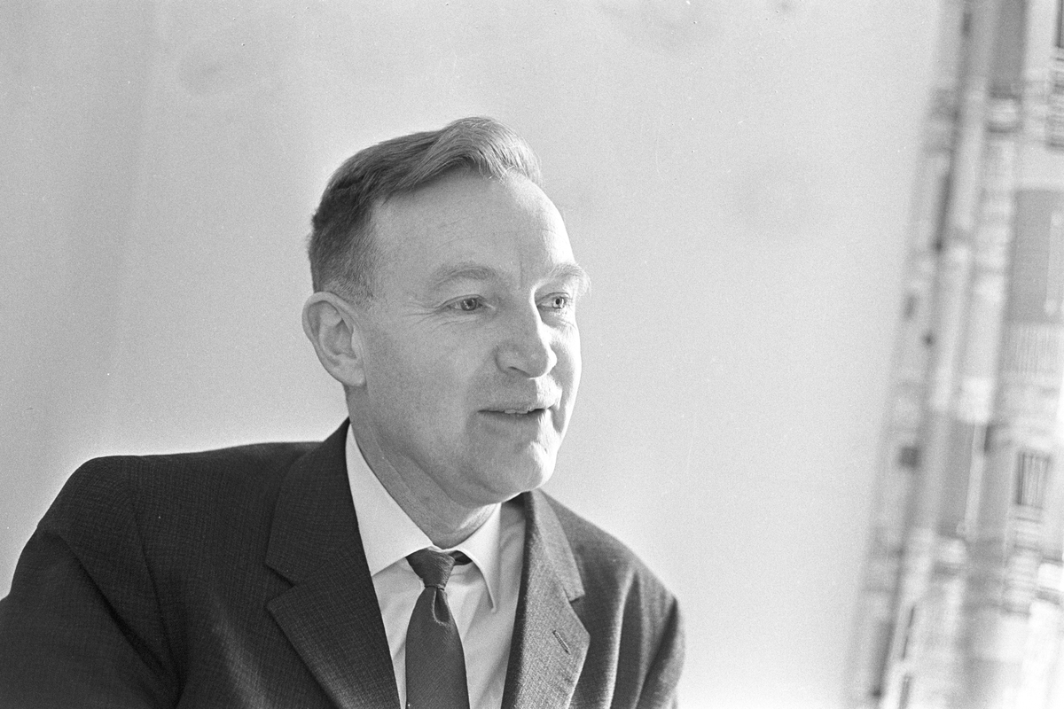 Serie bilder av Bjarne Bjørndal, universitetslektor. 