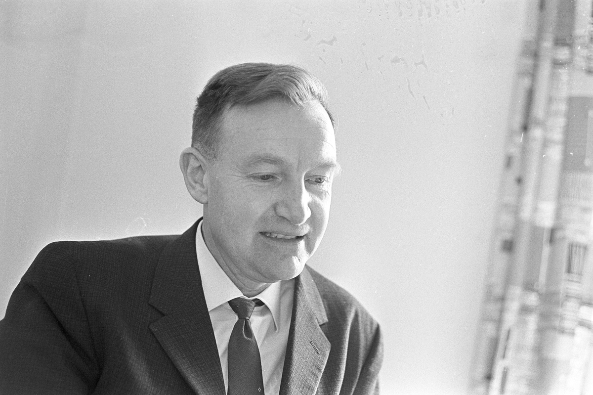 Serie bilder av Bjarne Bjørndal, universitetslektor. 