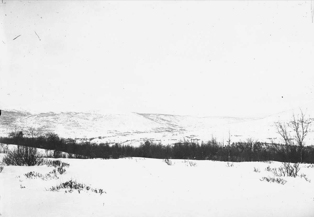 Serie bilder, noe fra Drøbak, Frogn, Akershus. Muligens noe fra Valdres. Familieliv, antagelig  familiene Hansen, Lund og Samuelson ca 1900-1905.