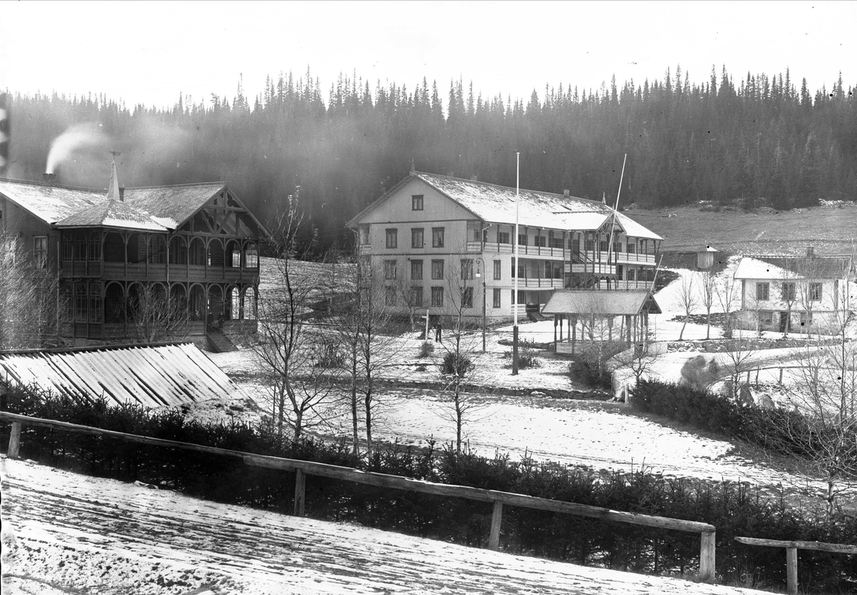 Serie bilder, noe fra Valdres, noe fra reise med båt til Trondheim og noe fra Fjelsæter(?). Familieliv, antagelig familien Lund ca 1899-1902.