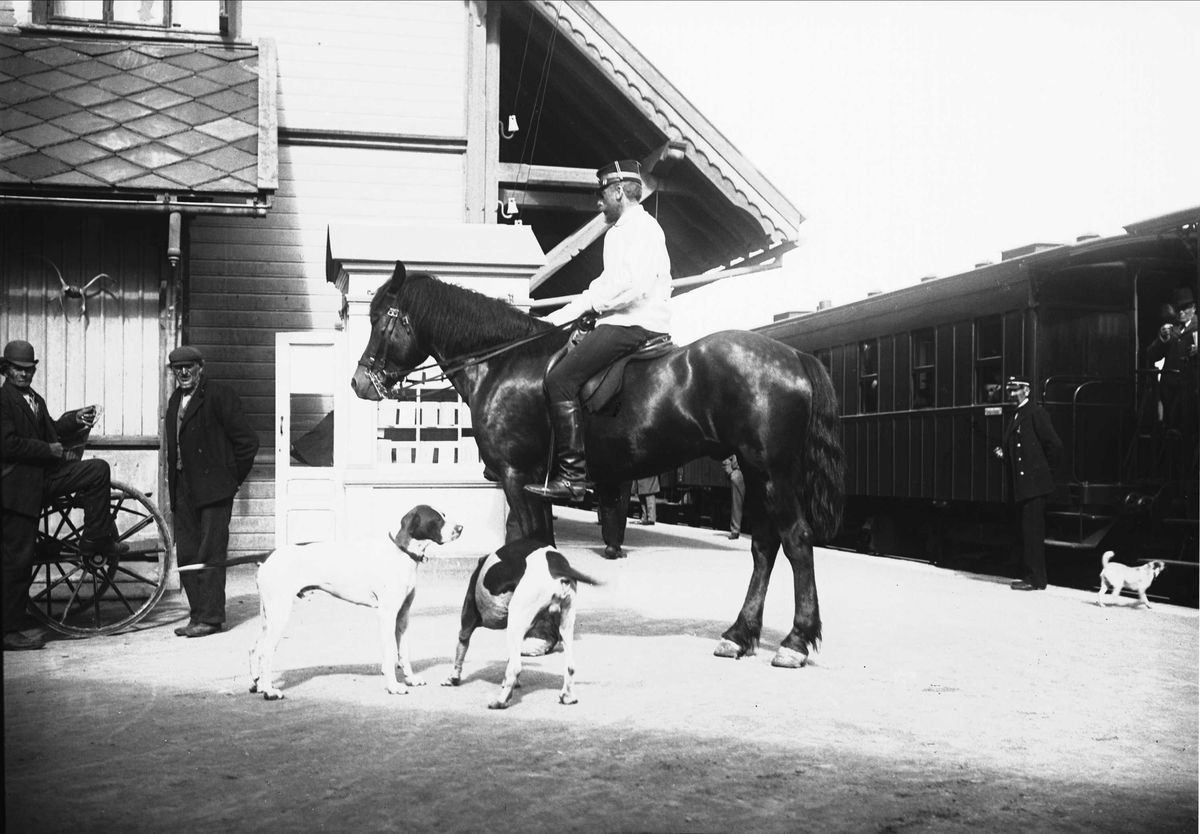 Serie bilder, fra Vorosmoen? (Hvalsmoen?) og opptog på Karl Johans gate. Militærbilder, antagelig familien Lund ca 1899.