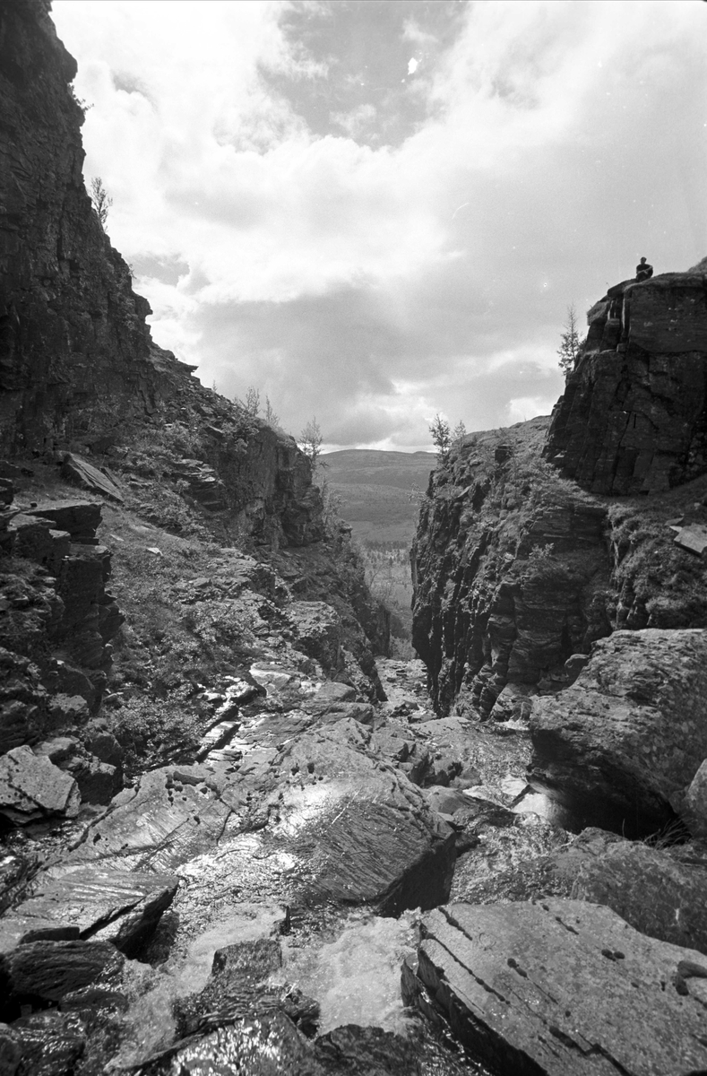 Serie. Ringebufjellet ved Rondablikk mm., Ringebu, Oppland.