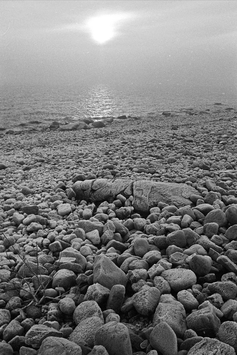 Serie. Hus og strender på Jomfruland, Kragerø, Telemark. Fotografert des. 1963.