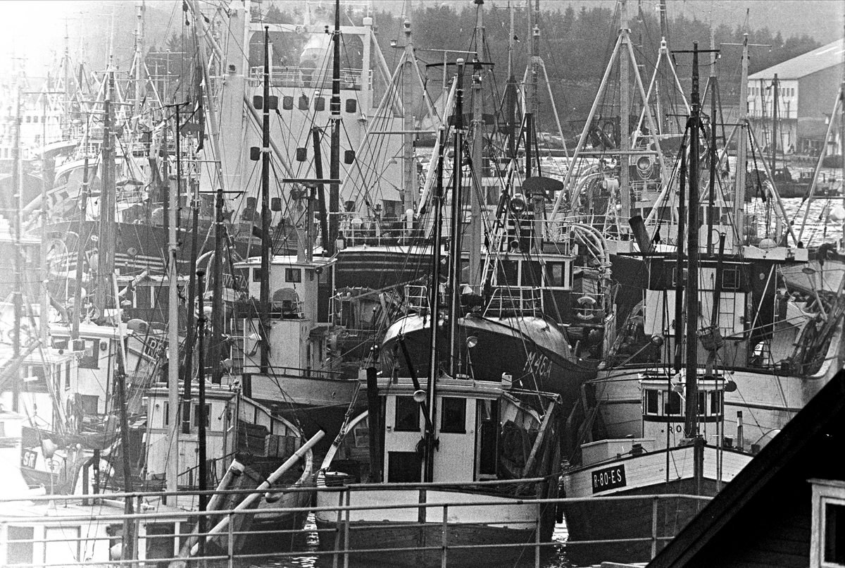Serie. Fiskebåter ligger til kai, Egersund, Rogaland. Fotografert nov. 1965.