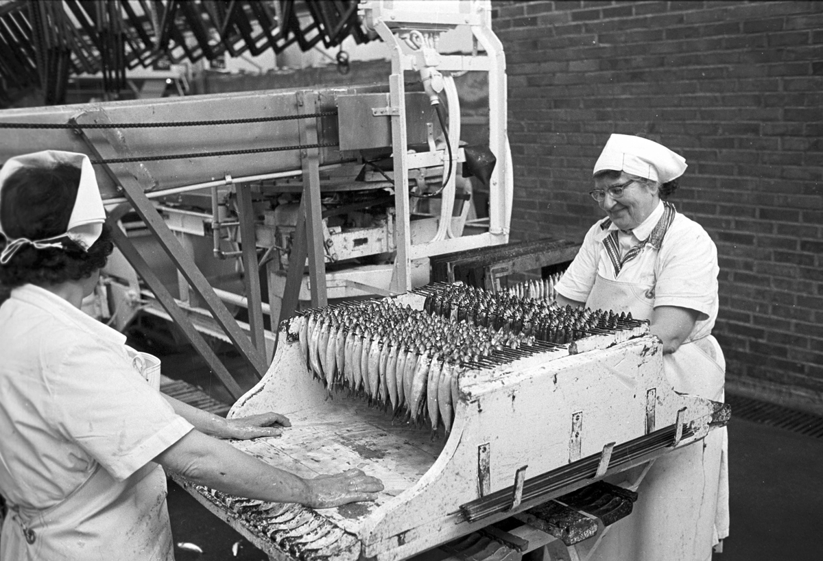 Serie. Fabrikkarbeidere og fabrikasjon på Bjelland Fabrikker, Stavanger. Fotografert aug. 1965. 