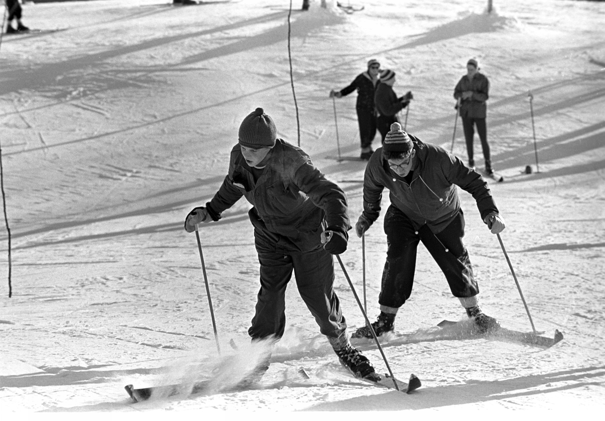 Serie. Vinteruke for turister på Geilo, med reinsdyrkjøring og skiinstruksjon. Fotografert februar 1965.