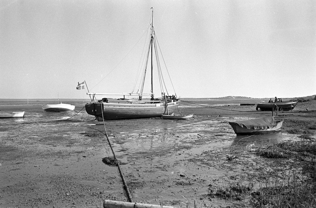 Serie. Fra Fanø, Danmark. Sønderho med stråtekte hus, Vadehavet samt lokal skoleklasse. Fotografert juni 1964.