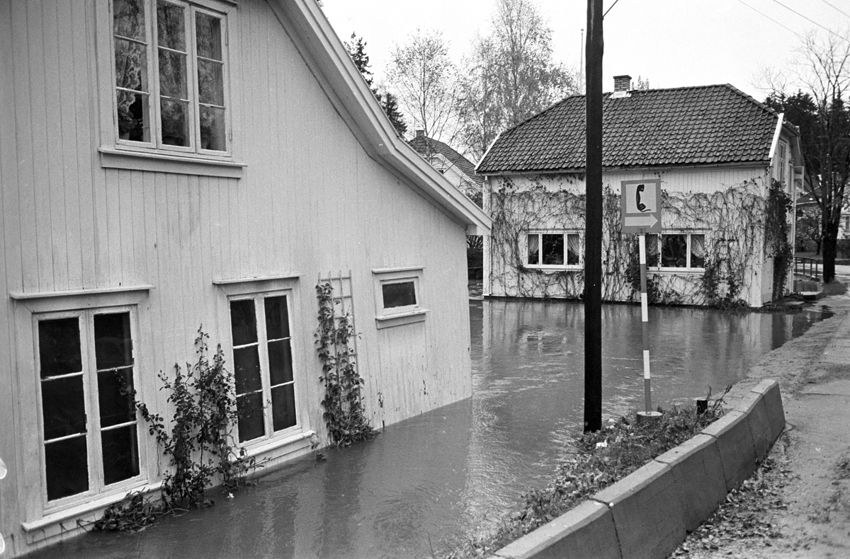 Serie. Stor flom i et boligområde i Røyken. Flere boliger står med vann opp til vinduene. Fotografert oktober 1964.