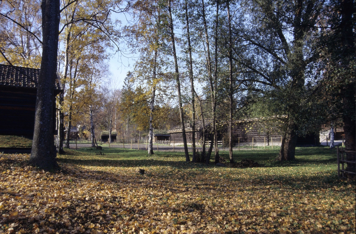 Høststemning på Norsk Folkemuseum.