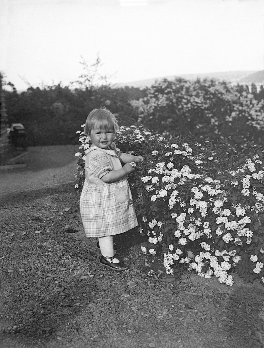 Siri Arentz står ved en blomstrende hekk i P.T. Mallings vei 4, Bygdøy. Fotografert juli 1932.