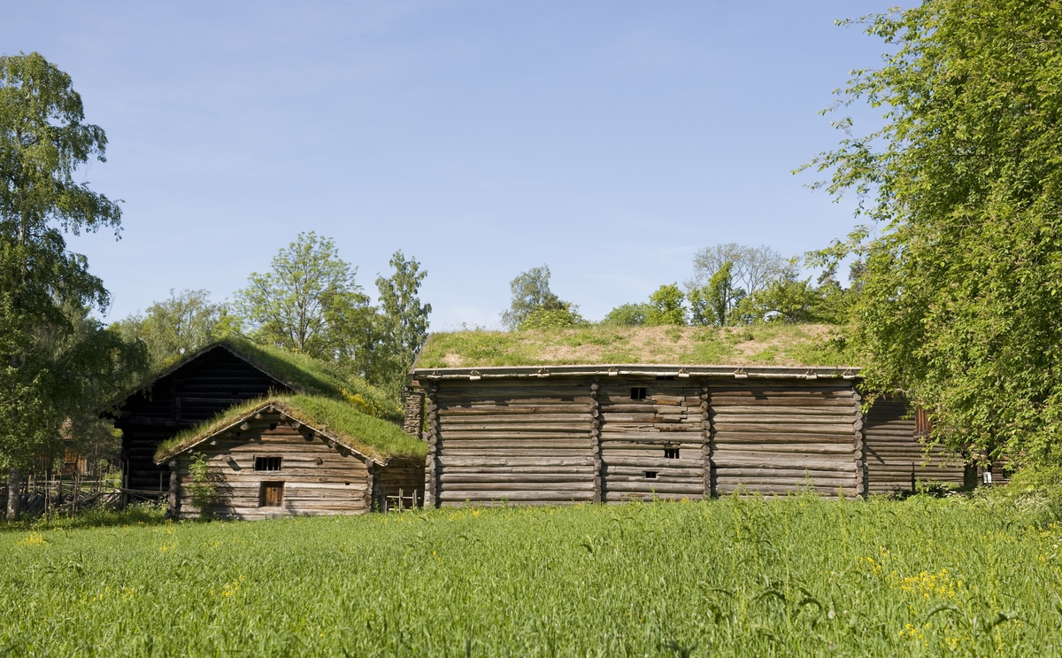 Numedalstunet på Norsk Folkemuseum, juni 2010. Løe fra Nordre Mellom-Nørstebø og fjøs fra Ramberg, Dagali. 
