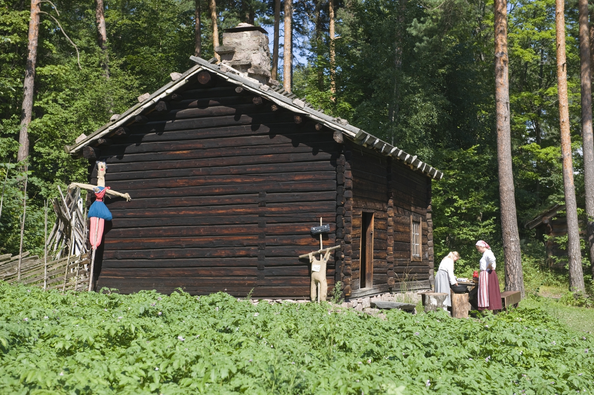 Stue fra finnetorpet Ampiansbråten, Kolbjørnsrud, Vinger. Fotografert på Norsk Folkemuseum juli 2010.