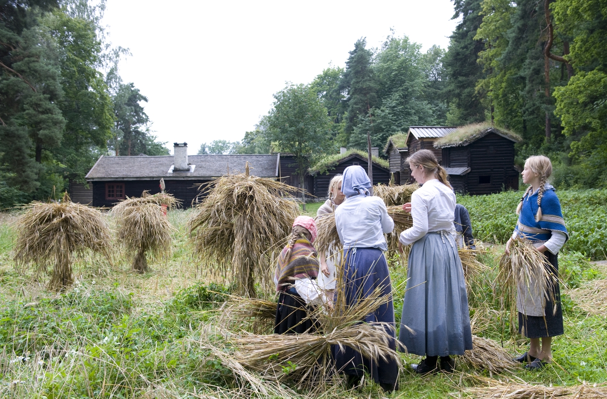 Norsk Folkemuseum, august 2010. Formidling i friluftsmuseet. Deltakere på ferieskolen henger korn på kornstaur.